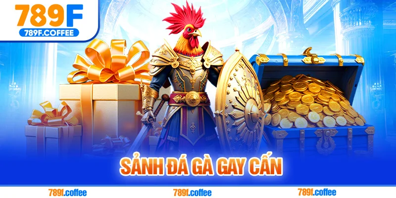 Sảnh đá gà gay cấn