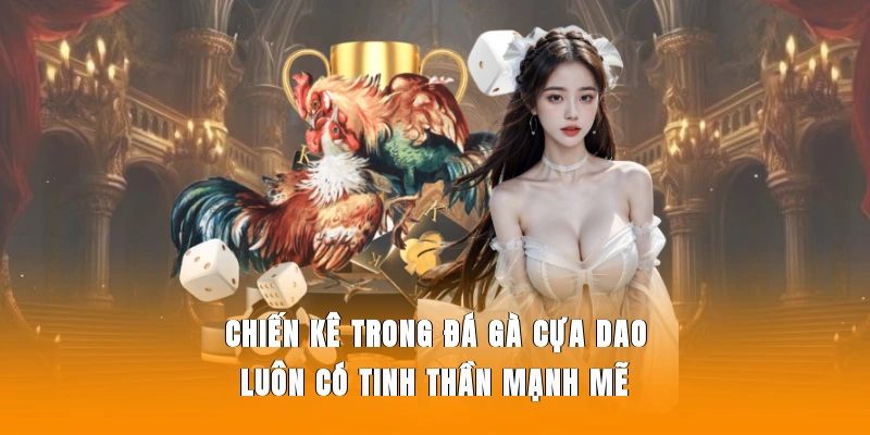 Chiến kê trong đá gà cựa dao luôn có tinh thần mạnh mẽ