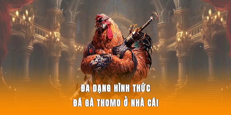 Đa dạng hình thức đá gà Thomo ở nhà cái