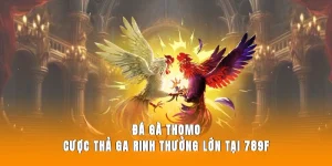 Đá Gà Thomo - Cược Thả Ga Rinh Thưởng Lớn Tại 789F