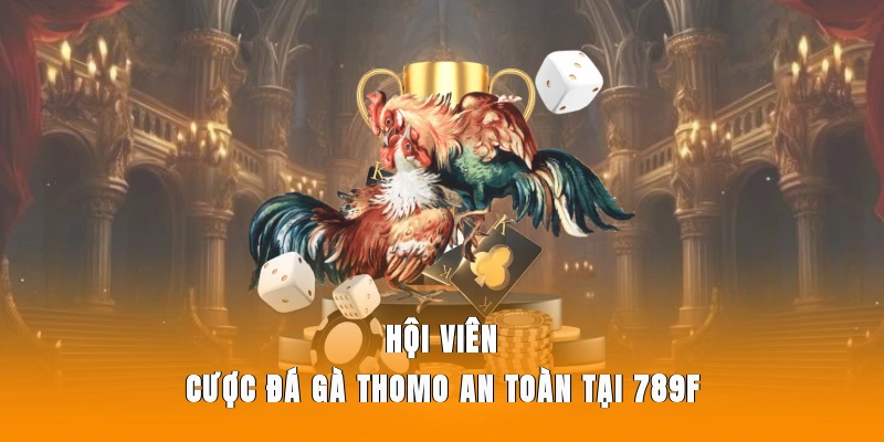 Hội viên cược đá gà Thomo an toàn tại 789F