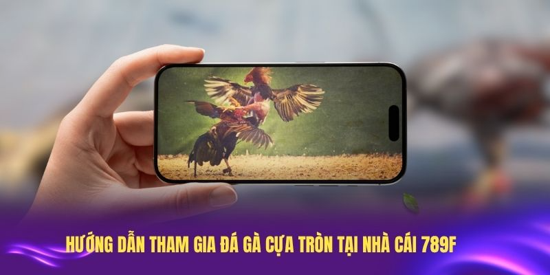 Hướng dẫn tham gia đá gà cựa tròn tại nhà cái 789F