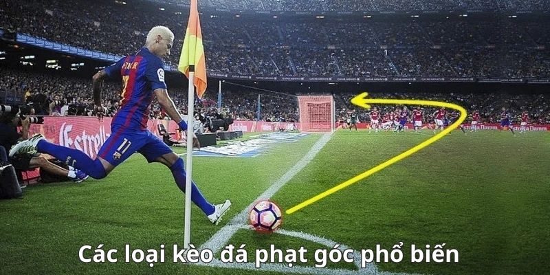 Kèo phạt góc tài xỉu dễ tham gia và mang lại hiệu quả cao