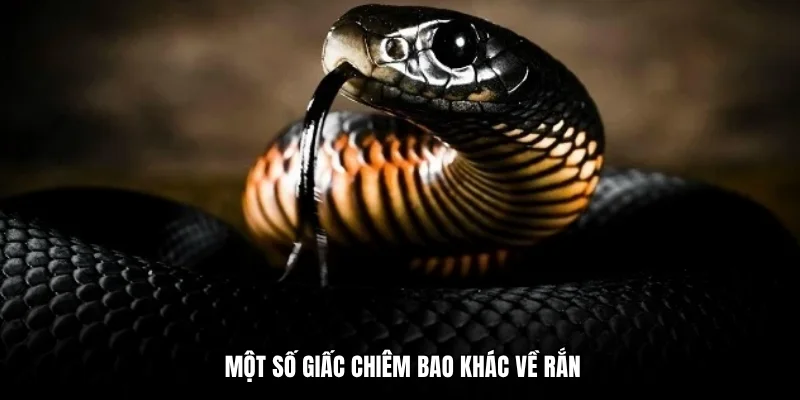 Một số giấc chiêm bao khác về rắn