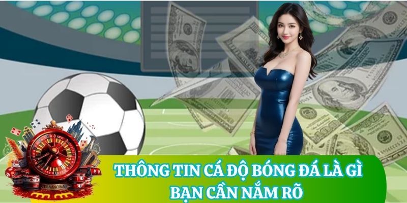Thông tin cá độ bóng đá là gì bạn cần nắm rõ