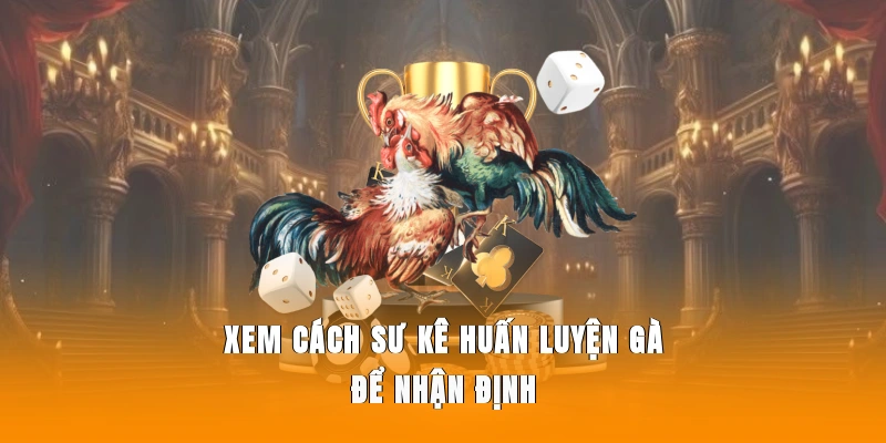 Xem cách sư kê huấn luyện gà để nhận định